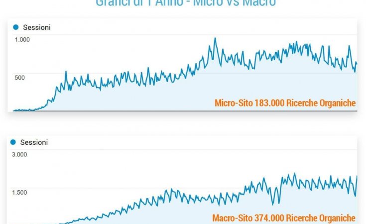 Micro vs Macro Traffico Siti Web di Nicchia e Portali Grandi