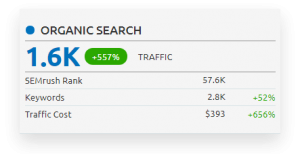 Traffico Seo e Keywords di un Macro Sito